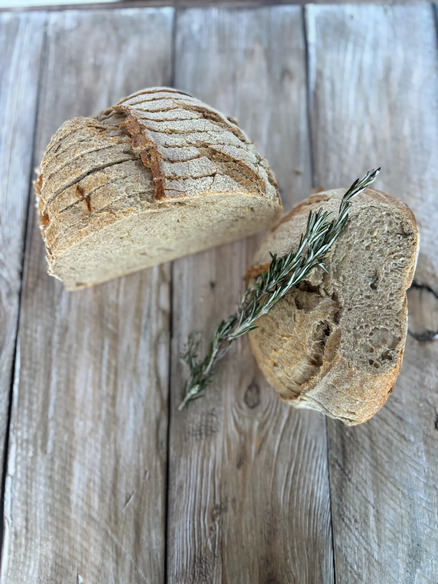 [HI02] Hogaza Ajo Rostizado y Romero